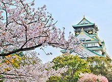 KAIYUNAPP：让云端效率成为日常的新常态