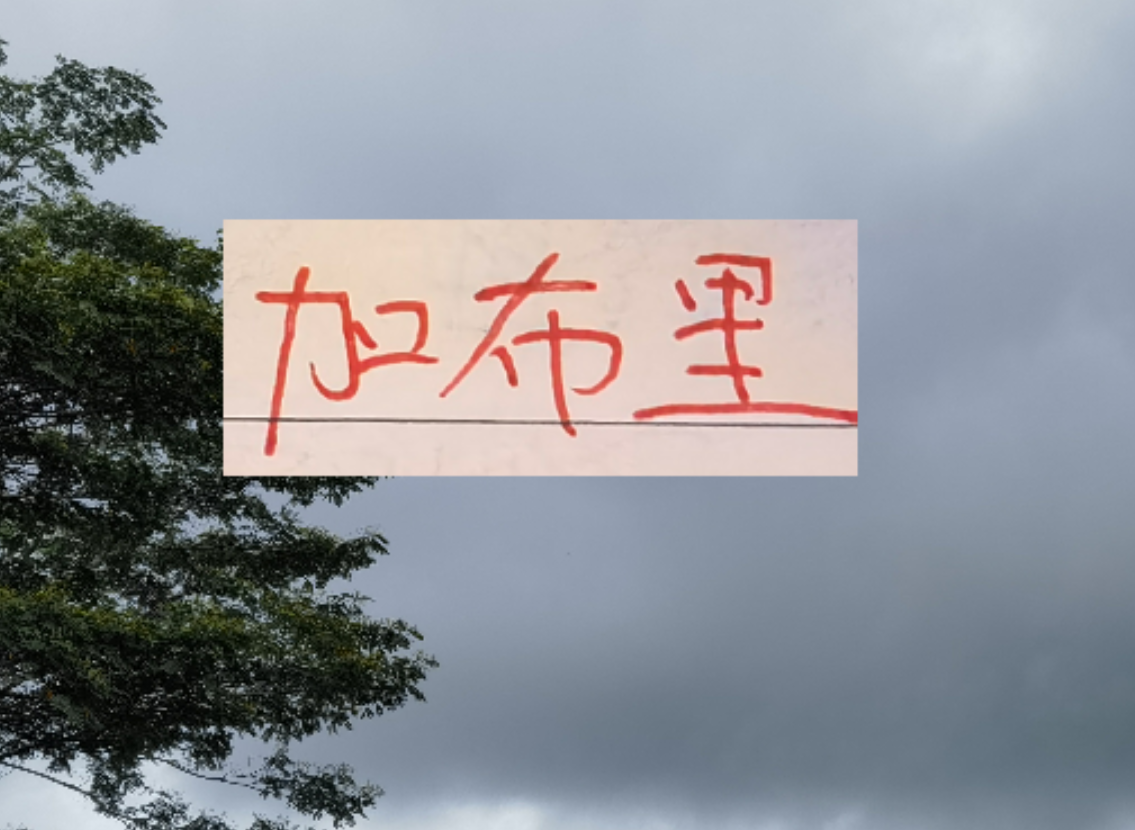 百家乐官方网站-是走还是留？ 海港加布里埃尔国内跟国外说法不一样